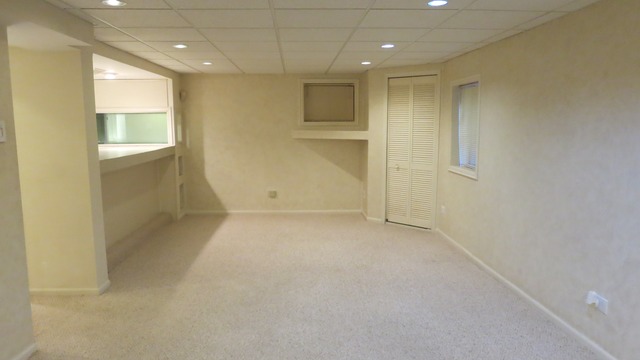 1014 Trillium Ln, Bartlett, IL 60103 photo 20