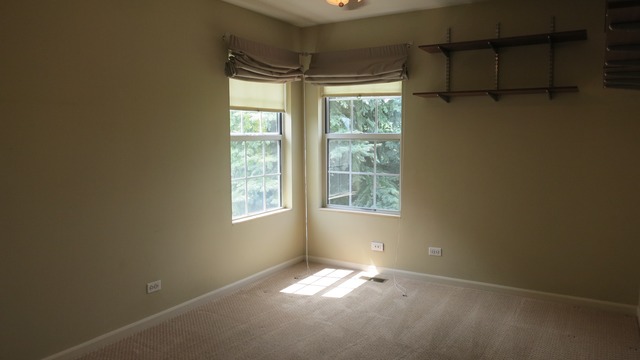 1014 Trillium Ln, Bartlett, IL 60103 photo 10