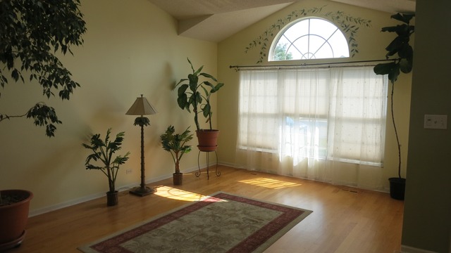 1014 Trillium Ln, Bartlett, IL 60103 photo 3