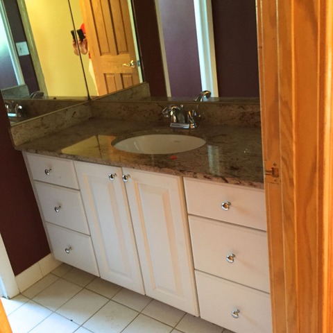 102 W Ridge Ave, Prospect Heights, IL 60070 photo 10