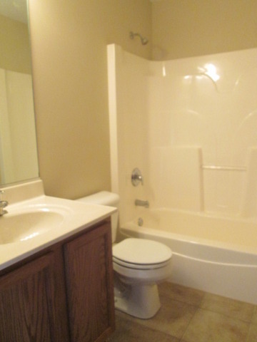 53 Bald Eagle Ln, Beecher, IL 60401 photo 16