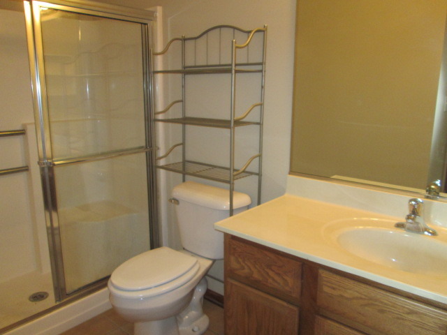 53 Bald Eagle Ln, Beecher, IL 60401 photo 10