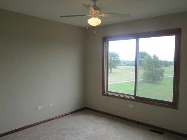 53 Bald Eagle Ln, Beecher, IL 60401 photo 15