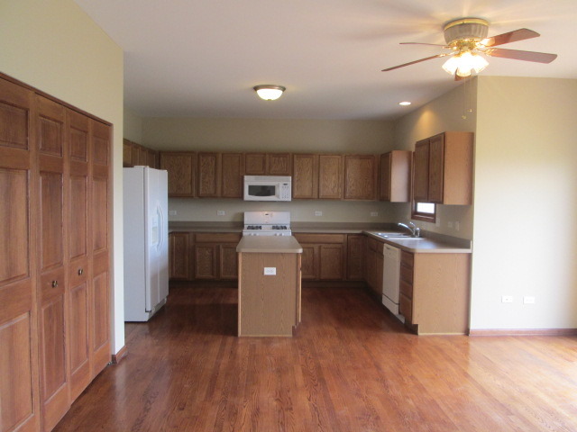 53 Bald Eagle Ln, Beecher, IL 60401 photo 4