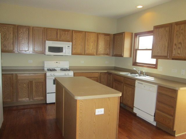 53 Bald Eagle Ln, Beecher, IL 60401 photo 5
