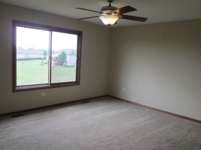 53 Bald Eagle Ln, Beecher, IL 60401 photo 11