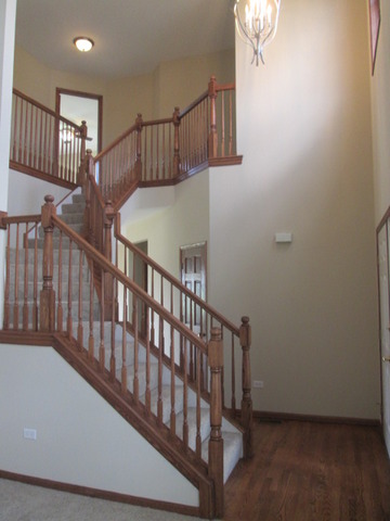 53 Bald Eagle Ln, Beecher, IL 60401 photo 1