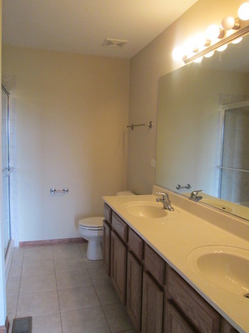 53 Bald Eagle Ln, Beecher, IL 60401 photo 12