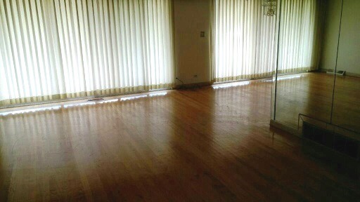 1723 E 92nd St, Chicago, IL 60617 photo 3