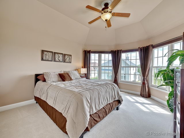 12115 Red Clover Ct, Plainfield, IL 60585 photo 17