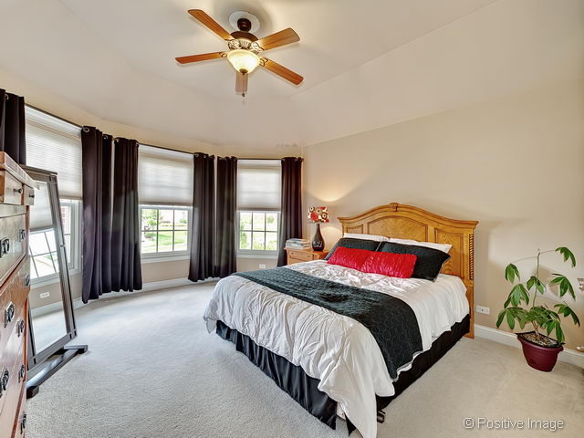 12115 Red Clover Ct, Plainfield, IL 60585 photo 15