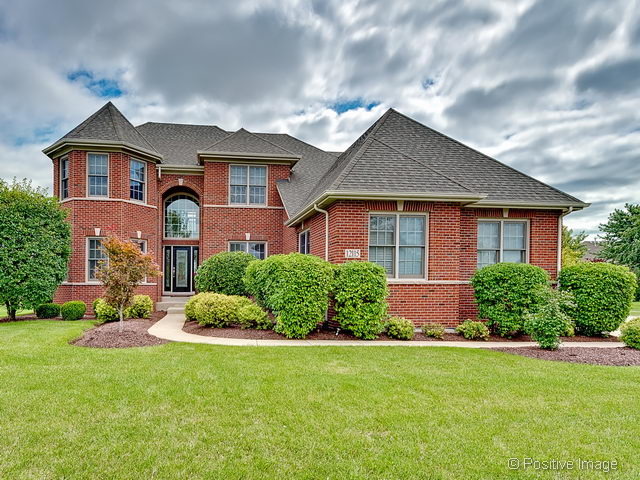 12115 Red Clover Ct, Plainfield, IL 60585 photo 1