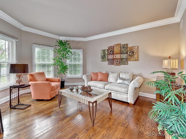 12115 Red Clover Ct, Plainfield, IL 60585 photo 3