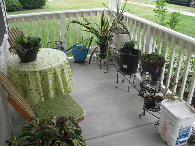 21509 Franklin Cir, Plainfield, IL 60544 photo 3