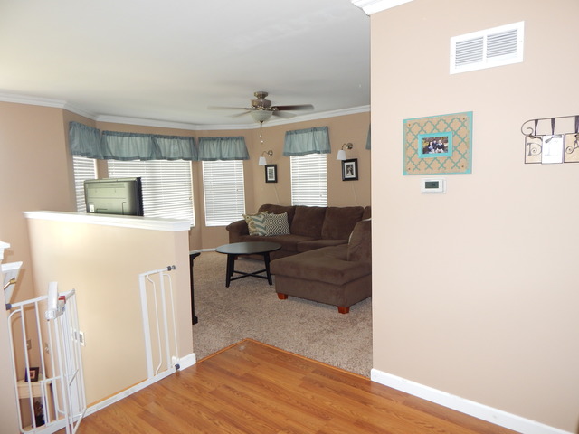 839 Symphony Dr, Aurora, IL 60504 photo 12