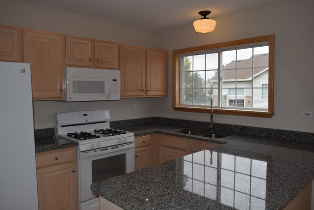 725 W Georgian Ct, Addison, IL 60101 photo 5