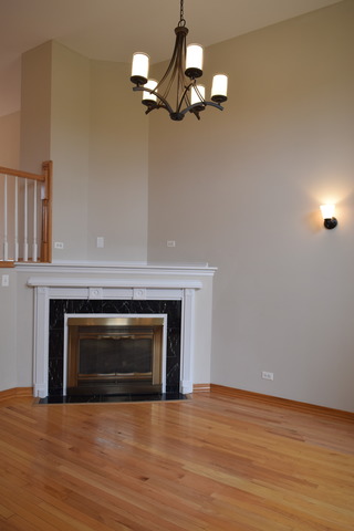 725 W Georgian Ct, Addison, IL 60101 photo 10