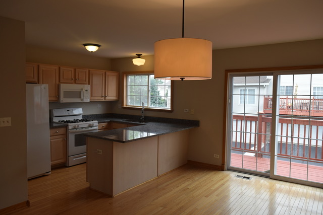 725 W Georgian Ct, Addison, IL 60101 photo 3