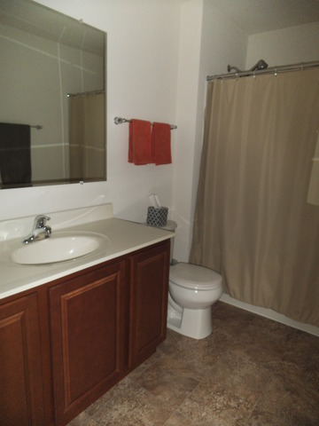 2304 Deerpath Rd, Bolingbrook, IL 60490 photo 11