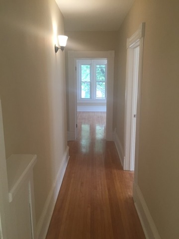 523 Walnut Ave, Elgin, IL 60123 photo 15