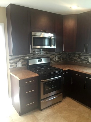 523 Walnut Ave, Elgin, IL 60123 photo 12