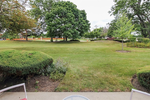 1534 Heather Ct #a1, Wheeling, IL 60090 photo 20