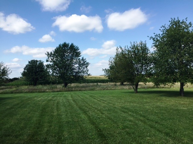 4164 W Pauling Rd, Monee, IL 60449 photo 19