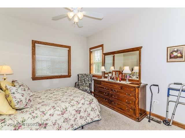 4164 W Pauling Rd, Monee, IL 60449 photo 9