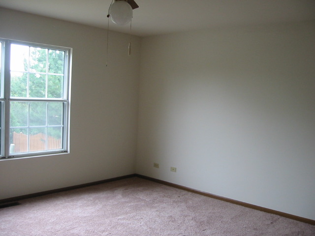 1005 Bentley Ln, Bartlett, IL 60103 photo 7