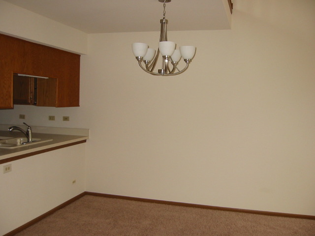 1005 Bentley Ln, Bartlett, IL 60103 photo 6