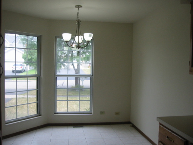 1005 Bentley Ln, Bartlett, IL 60103 photo 4