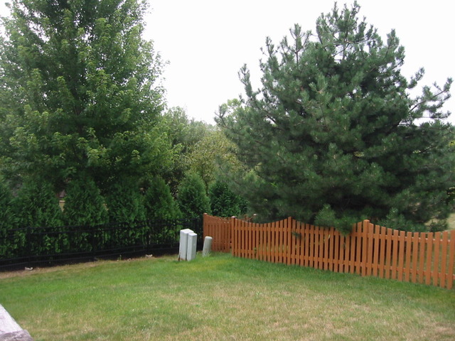1005 Bentley Ln, Bartlett, IL 60103 photo 15