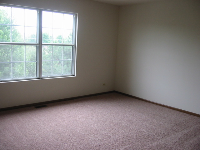 1005 Bentley Ln, Bartlett, IL 60103 photo 11
