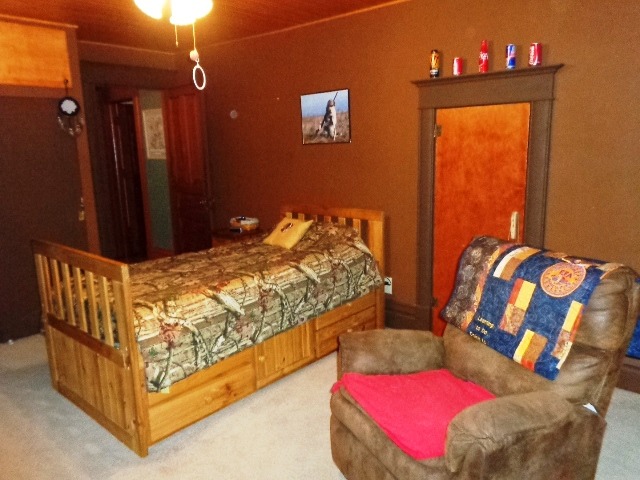400 Depot St, Mazon, IL 60444 photo 13