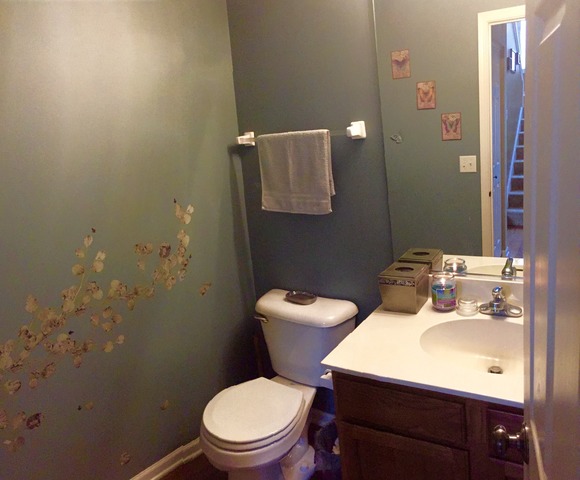 4101 Dillon St, Plano, IL 60545 photo 3