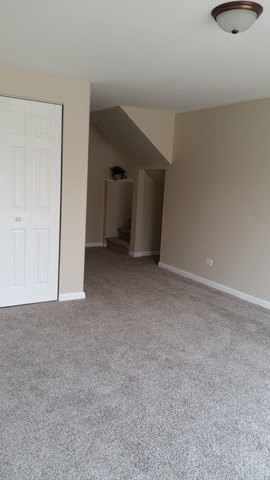 47 Willow Rd, Matteson, IL 60443 photo 20