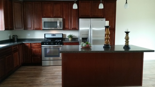47 Willow Rd, Matteson, IL 60443 photo 2