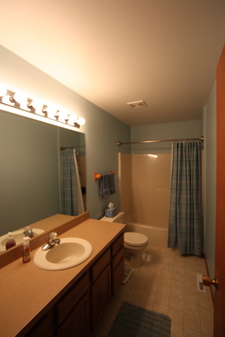 1706 Parkside Dr, Plainfield, IL 60586 photo 19