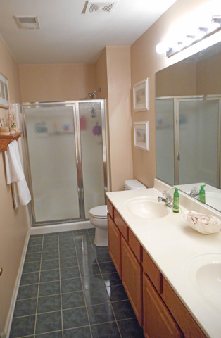 391 Woodview Cir #c, Elgin, IL 60120 photo 13