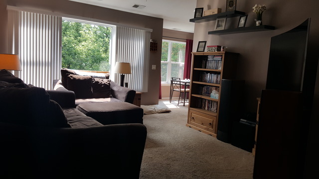 391 Woodview Cir #c, Elgin, IL 60120 photo 2