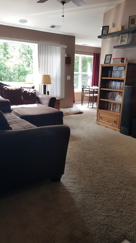 391 Woodview Cir #c, Elgin, IL 60120 photo 3