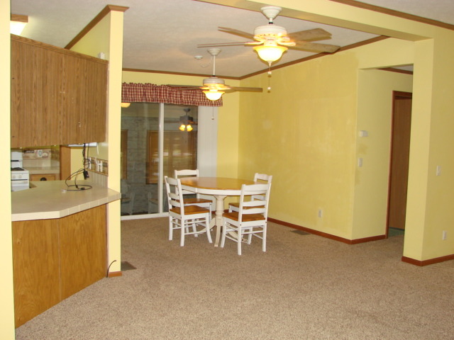 419 E 10th Ave, Lyndon, IL 61261 photo 16
