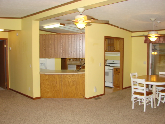 419 E 10th Ave, Lyndon, IL 61261 photo 10