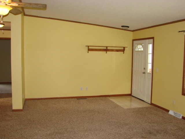 419 E 10th Ave, Lyndon, IL 61261 photo 1