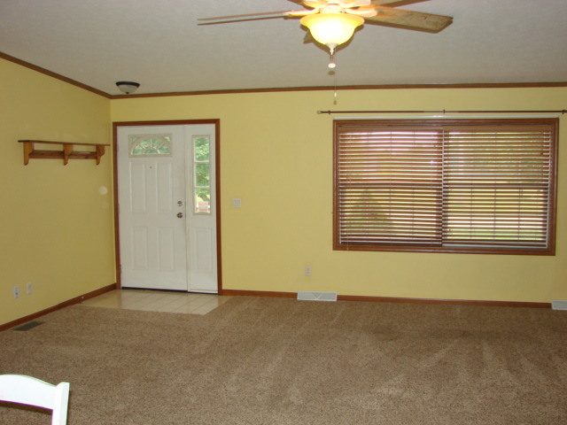419 E 10th Ave, Lyndon, IL 61261 photo 14