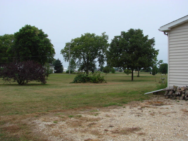 419 E 10th Ave, Lyndon, IL 61261 photo 20