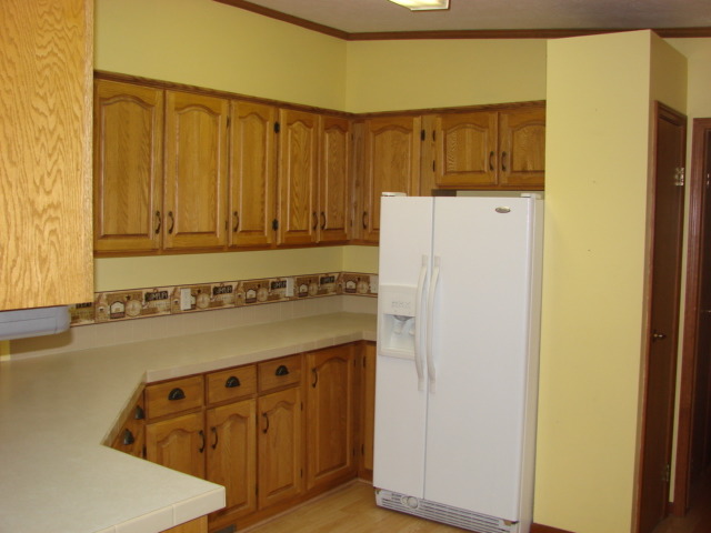 419 E 10th Ave, Lyndon, IL 61261 photo 12