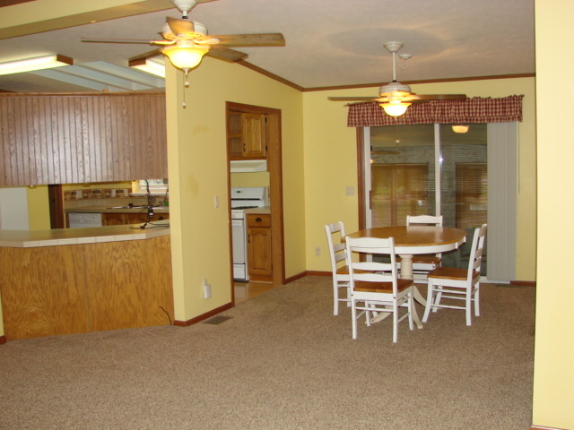 419 E 10th Ave, Lyndon, IL 61261 photo 9