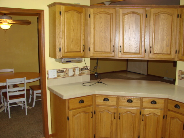 419 E 10th Ave, Lyndon, IL 61261 photo 13