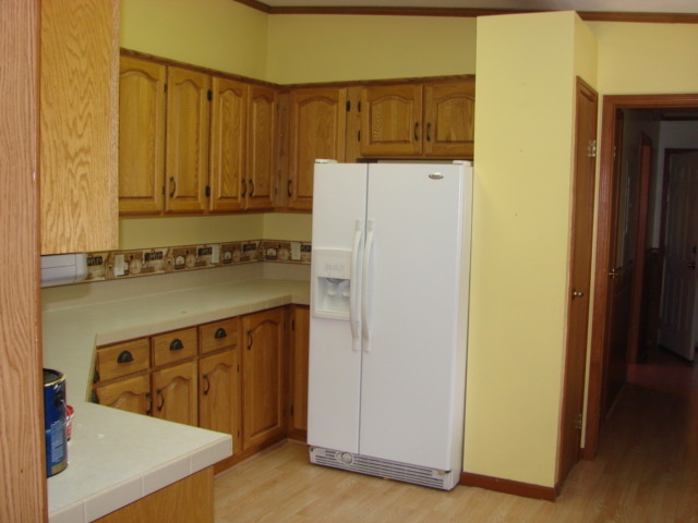 419 E 10th Ave, Lyndon, IL 61261 photo 2
